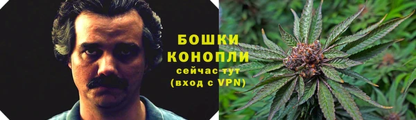 гидра Абдулино