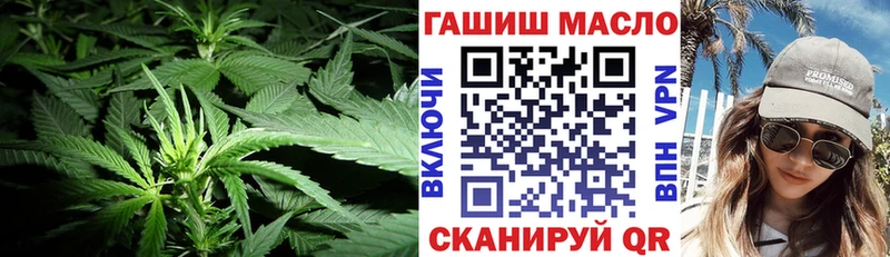 omg ссылка  Мурино  ТГК вейп 