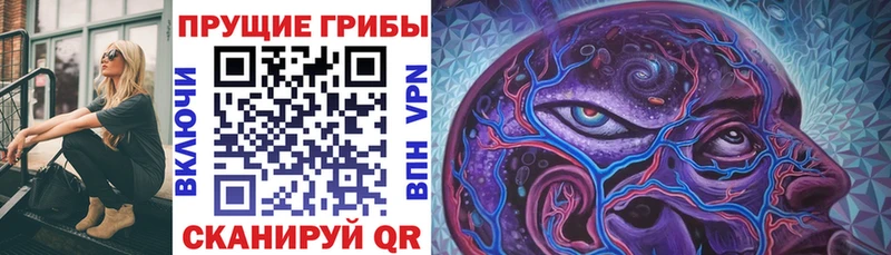 Галлюциногенные грибы Cubensis  купить  цена  Мурино 