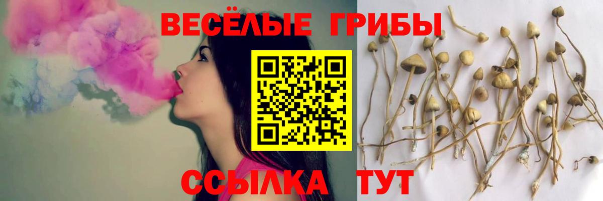 Галлюциногенные грибы мицелий  Вход с VPN  Мурино  Галлюциногенные грибы прущие грибы 